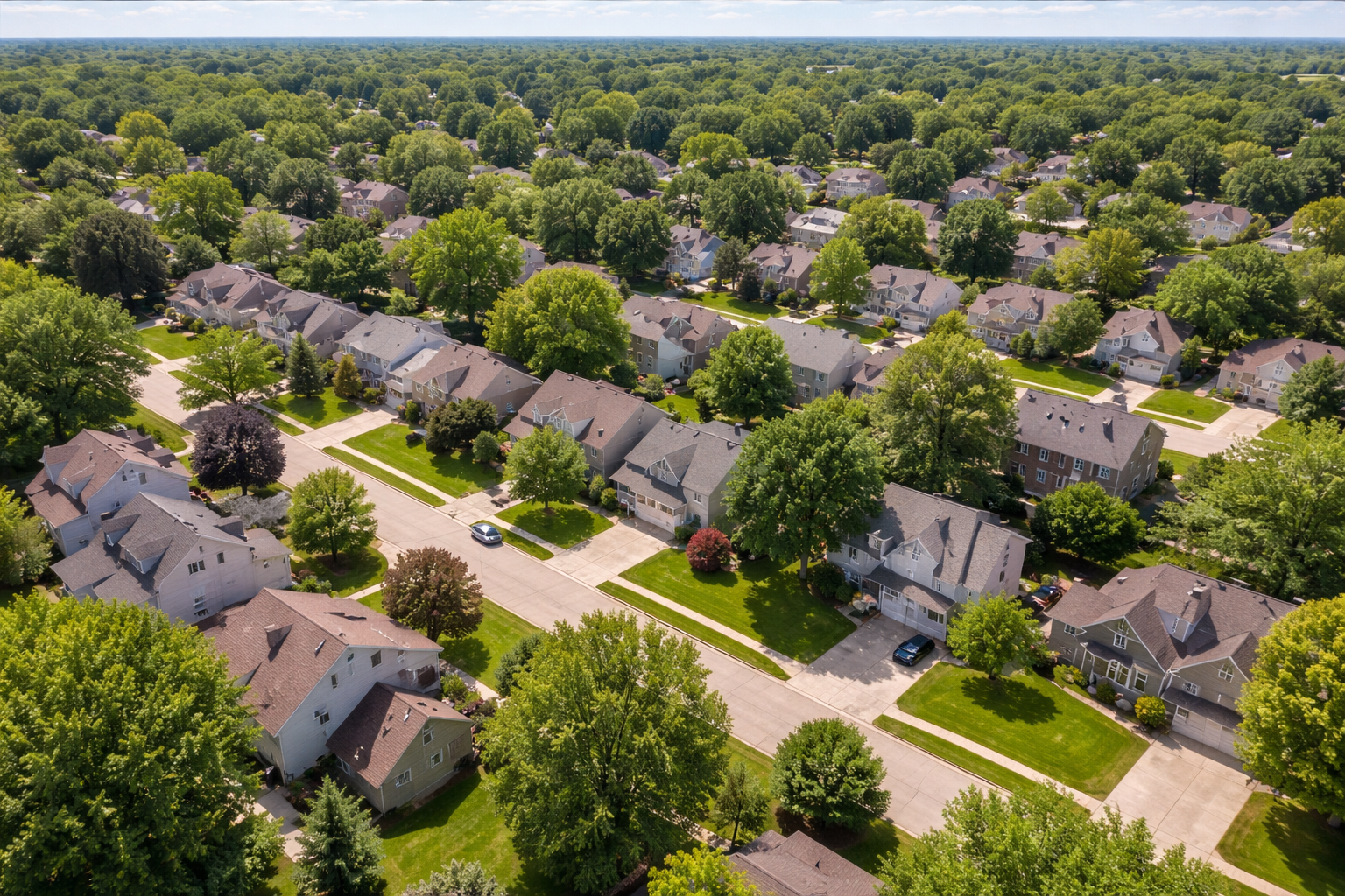 A local neighborhood